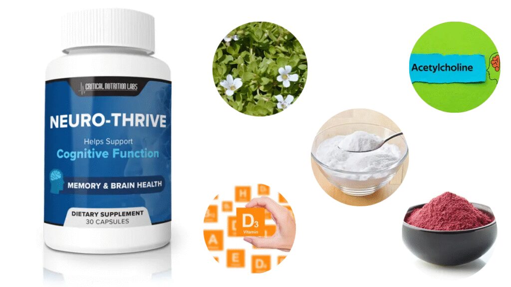 Website Official: Neuro-thrive Neuro-thrive Ingredients