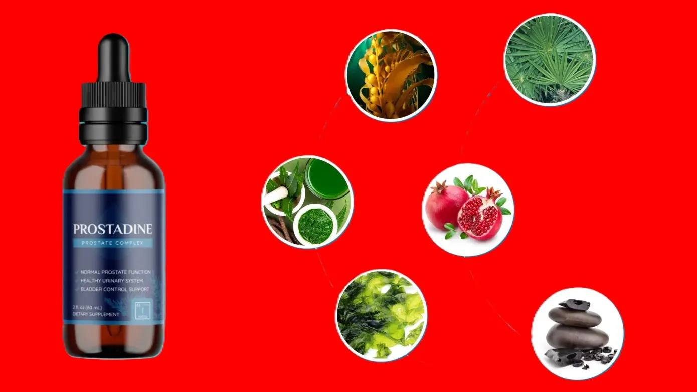Prostadine Ingredients