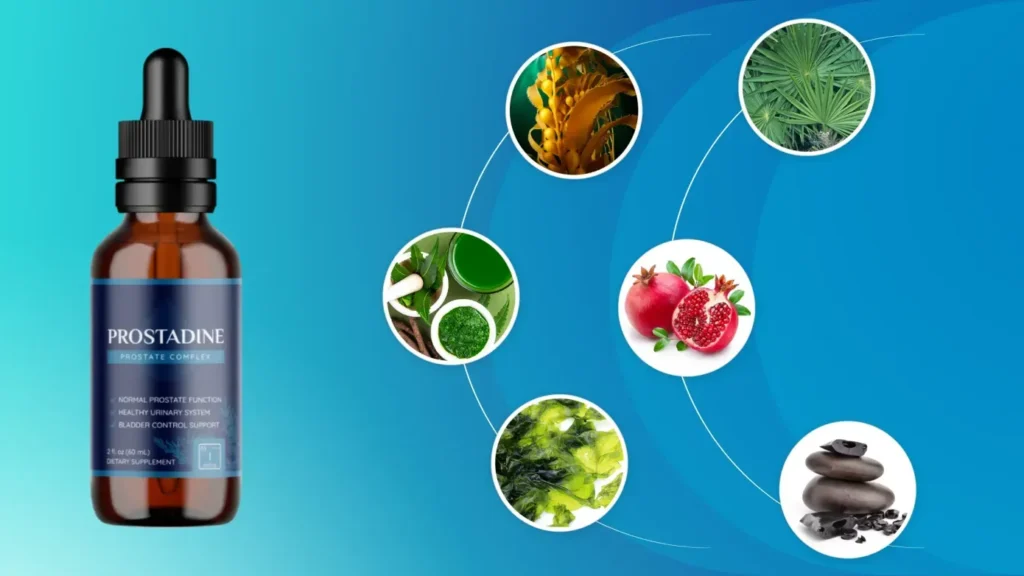 Discover the Natural Power of Prostadine: A Deeper Look at Key Ingredients for Optimal Prostate Health. Explore how each component contributes to wellness and vitality. #ProstadineIngredients #ProstateHealth #Wellness Discover the Natural Power of Prostadine: A Deeper Look at Key Ingredients for Optimal Prostate Health. Explore how each component contributes to wellness and vitality. #ProstadineIngredients #ProstateHealth #Wellness
