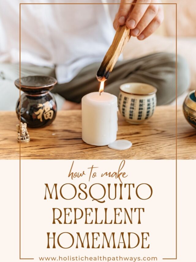 5 Homemade Mosquito Repellents
