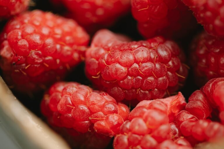 Plant-Based Diets: 8 Safe Foods to Incorporate Today 1