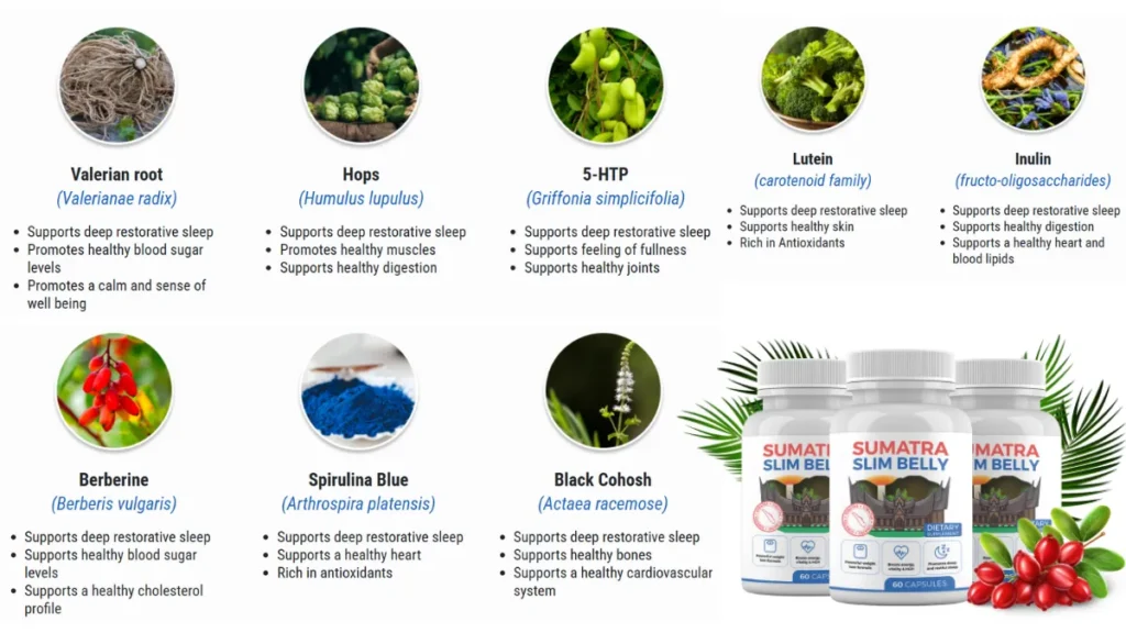 Official Website: Sumatra Slim Belly Tonic Sumatra Slim Belly Tonic Ingredients