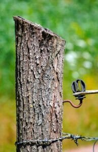 Unlocking Your Potential: A Guide to Emotional Intelligence