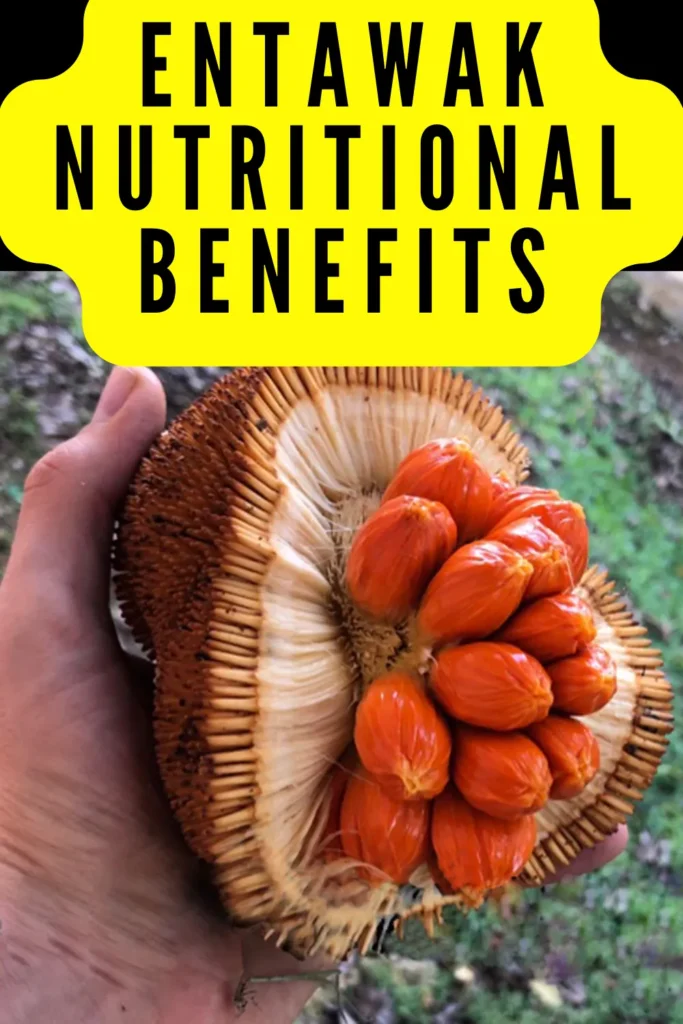 Entawak Benefits