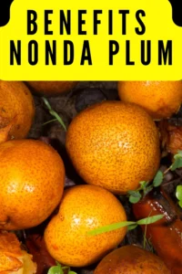 What is Nonda Plum and Its Nutritional Benefits