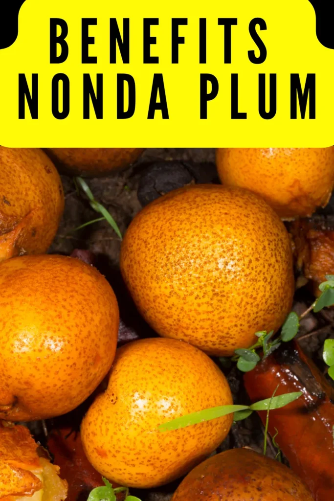 What is Nonda Plum and Its Nutritional Benefits
