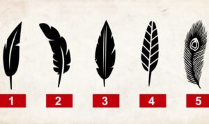 Plumas