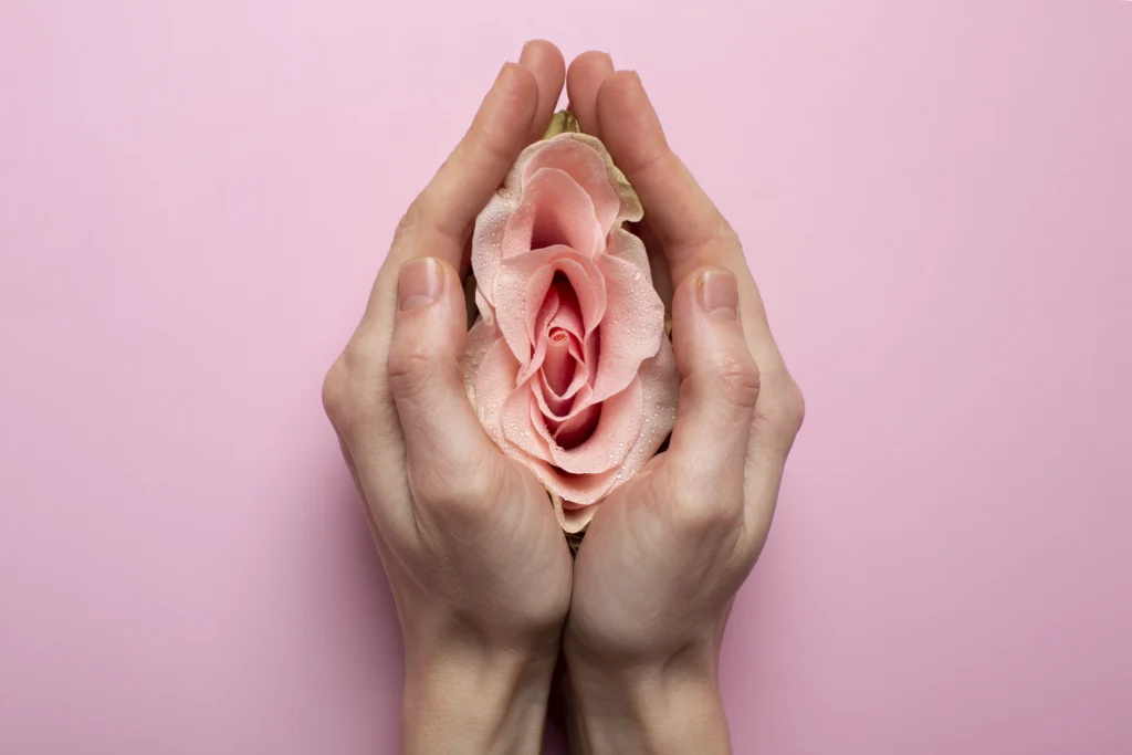 woman holding rose hands reproductive system visualization 1024x683 - Exploring the Yoni: A Deep Dive into the Sacred Feminine