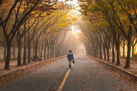 road, pavement, woman, nature, trees, walk, girl, fog, walking, roadway, avenue, mist, leaves, foliage, autumn, fall, park