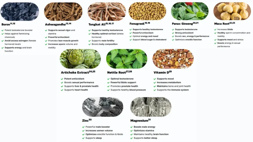Website Official: Alpha Tonic Alpha Tonic Ingredients