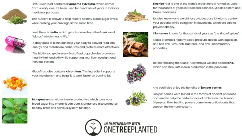 GlucoTrust-Ingredients