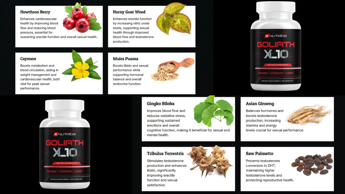 Goliath XL10 Ingredients