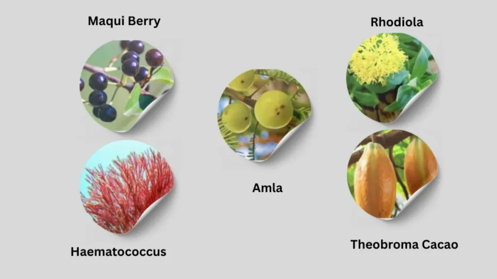 Website Official: Mitolyn Mitolyn-ingredients
