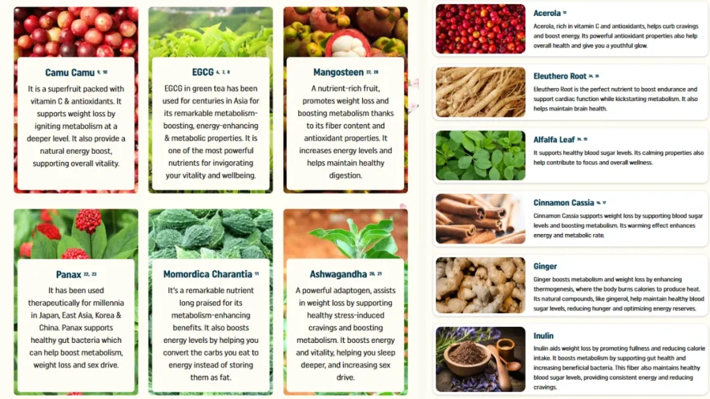 Website Official: Nagano Tonic Nagano Tonic Ingredients