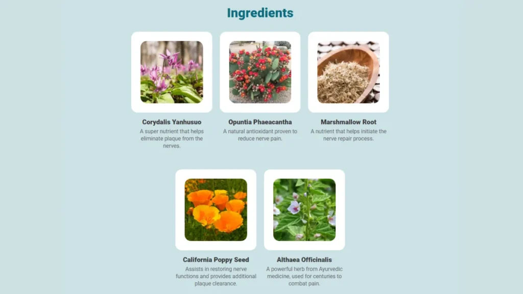 Website Official: NerveCalm NerveCalm Ingredients