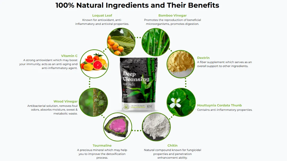 Nuubu Detox Foot Patches Ingredients