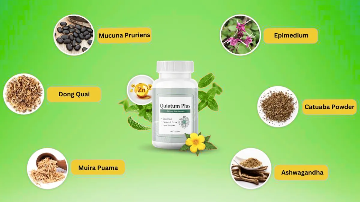 Quietum Plus Ingredients