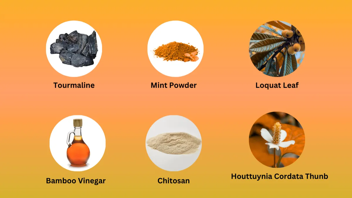 Xitox ingredients