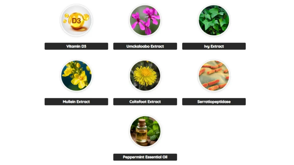 Website Official: AeroSlim aeroslim ingredients