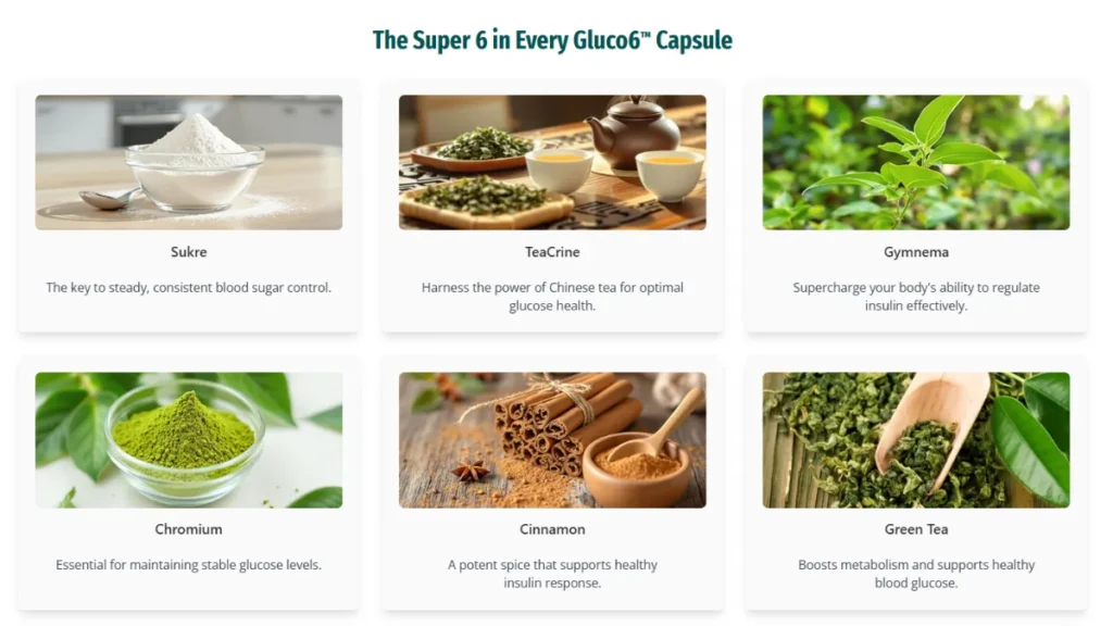 gluco6-ingredients