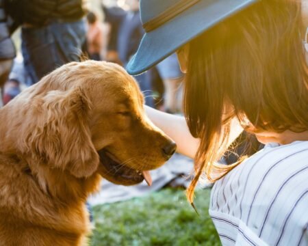 Pet Insurance Plans