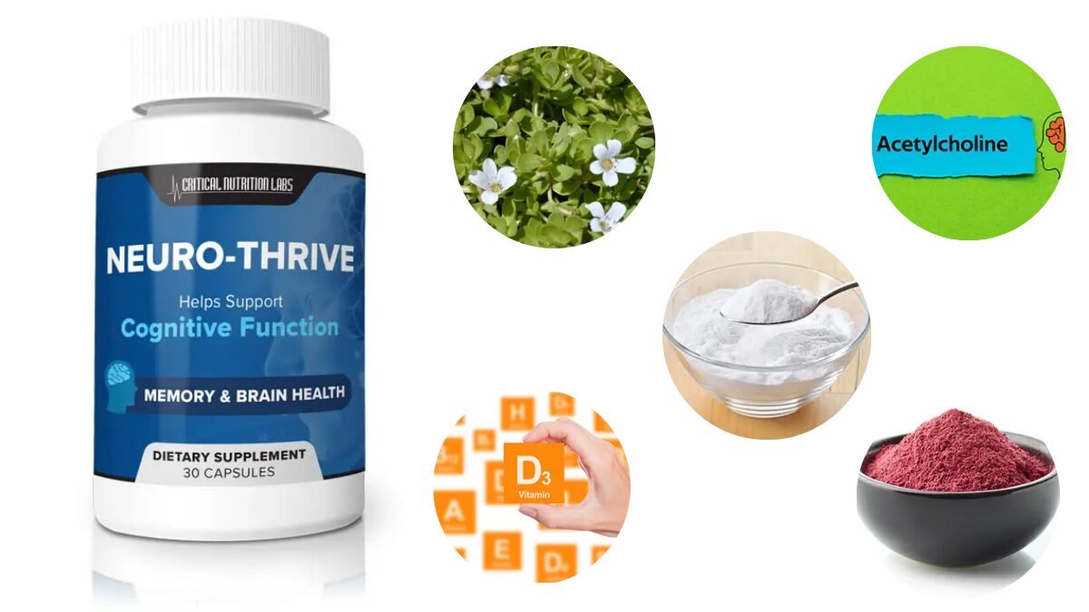 Neuro-Thrive Review: Real Results or Just Hype?