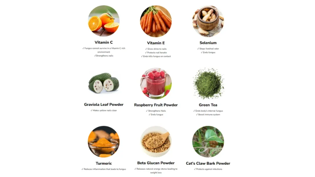 Official Website: Fungus Elixir Fungus Elixir Ingredients