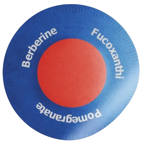 Purisaki-Berberine-Patches-Reviews